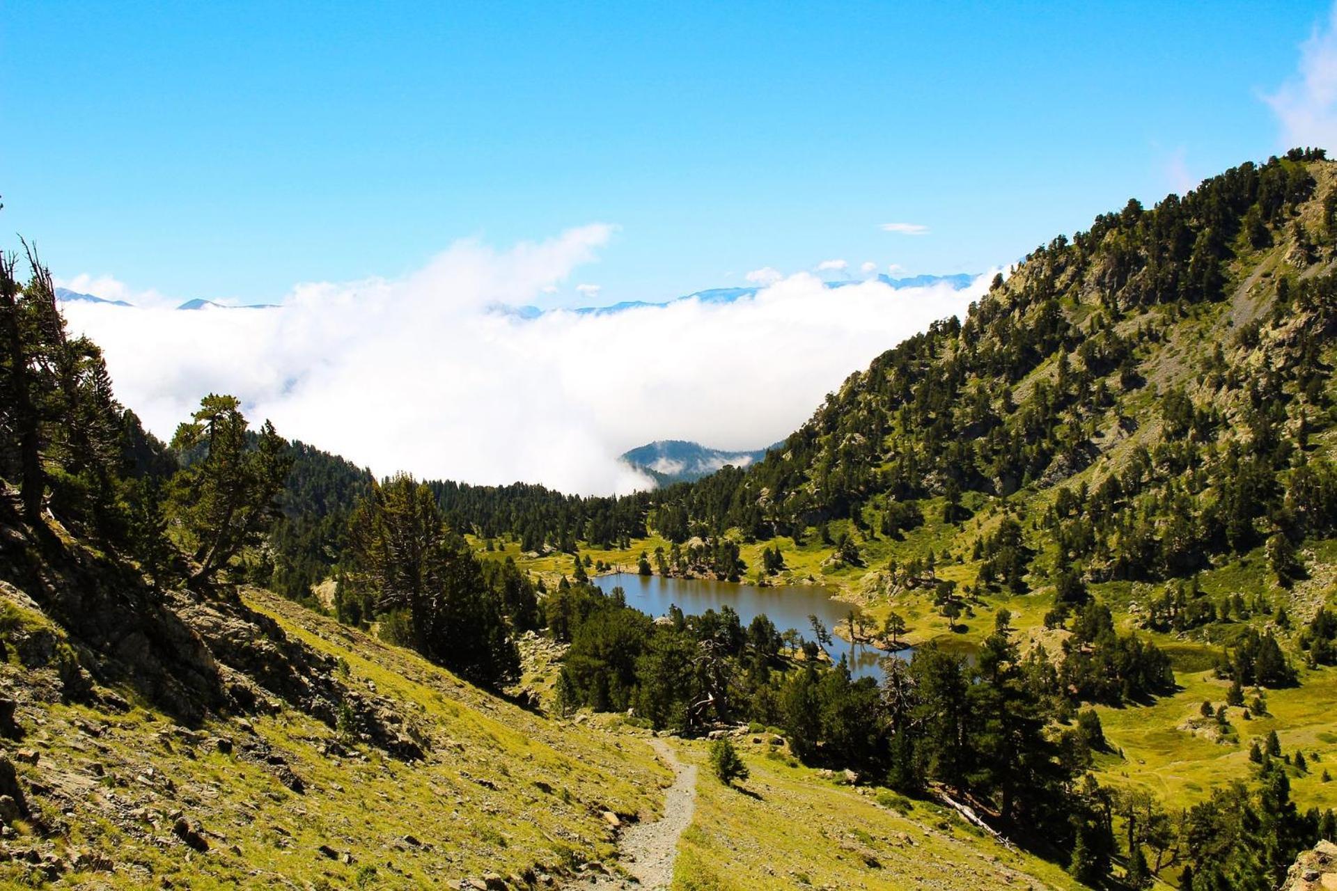 Le T2 Douillet D'Uriage - Residence Le Louvre - Cure Thermale Uriage- Proche Chamrousse - Jusqu'A 3 Personnes - Region Agreable En Toute Saison Vaulnaveys-le-Haut Ngoại thất bức ảnh